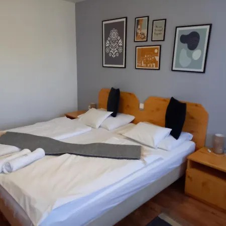 Guest house Blum Pince - Borozo Vendeghaz Villany