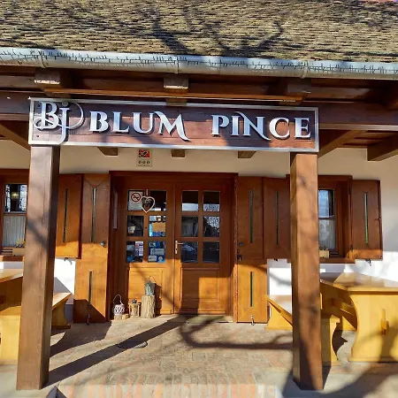 Blum Pince - Borozo Vendeghaz Guest house