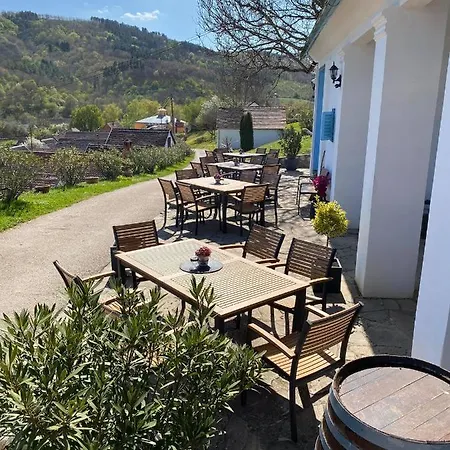 Blum Pince - Borozo Vendeghaz Guest house