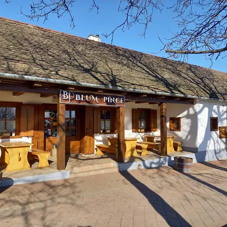 Blum Pince - Borozo Vendeghaz Guest house