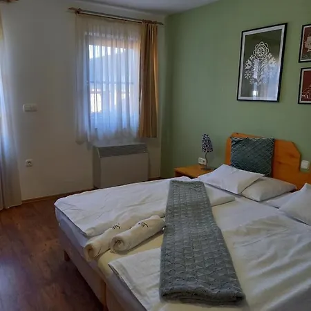 Blum Pince - Borozo Vendeghaz Guest house Villany
