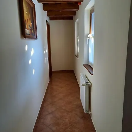 Blum Pince - Borozo Vendeghaz 3* Villany