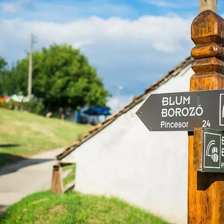 Blum Pince - Borozo Vendeghaz Guest house Villany