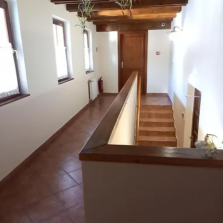 Guest house Blum Pince - Borozo Vendeghaz