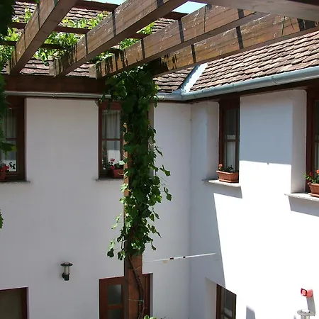 Blum Pince - Borozo Vendeghaz 3* Villany