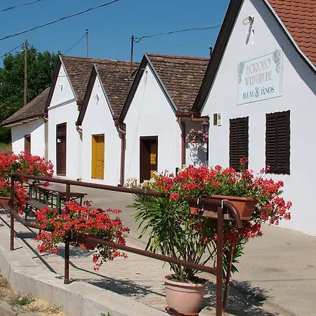 Blum Pince - Borozó