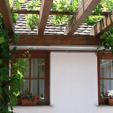 Blum Pince - Borozo Vendeghaz Guest house
