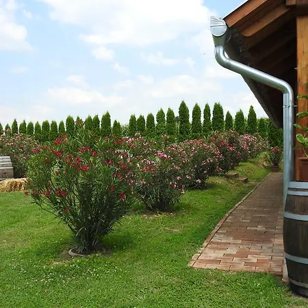 Guest house Blum Pince - Borozo Vendeghaz